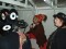 Thumbs/tn_mh7_0177.jpg